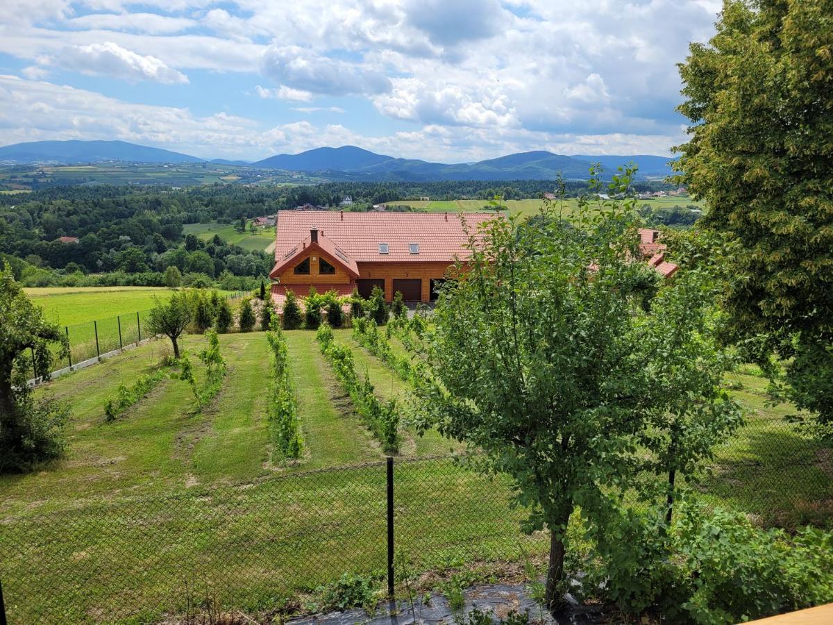 Fantastic View Vineyard Beskid Mountains Gruszow  Exteriér fotografie