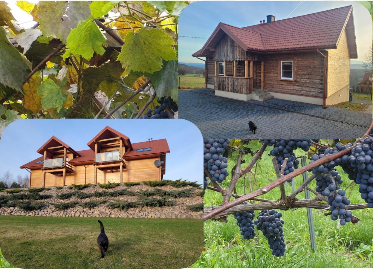 Fantastic View Vineyard Beskid Mountains Gruszow  Exteriér fotografie