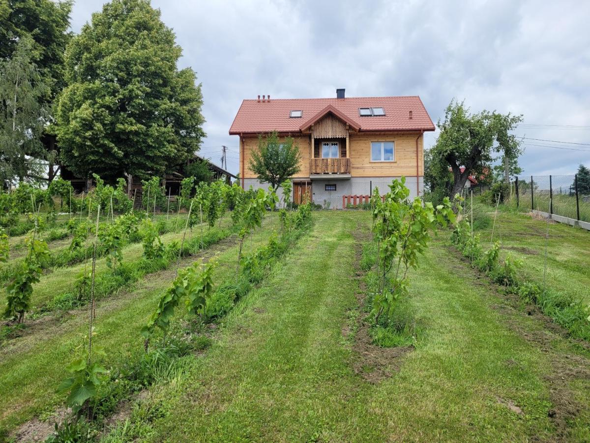 Fantastic View Vineyard Beskid Mountains Gruszow  Exteriér fotografie