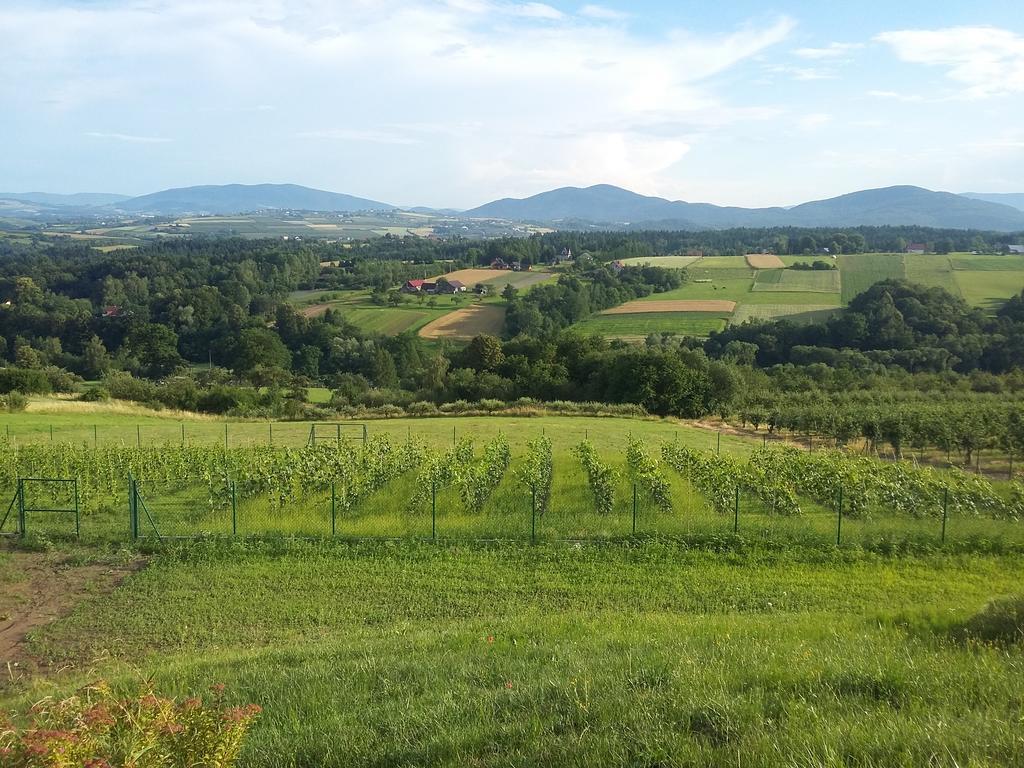 Fantastic View Vineyard Beskid Mountains Gruszow  Exteriér fotografie