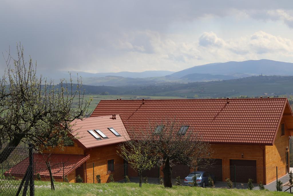 Fantastic View Vineyard Beskid Mountains Gruszow  Exteriér fotografie